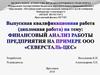ВКР: Финансовый анализ работы предприятия