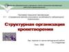 Структурная организация кроветворения