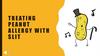 Treating peanut allergy with SLIT