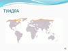 Природные зоны. Тундра