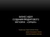 Создание продуктового магазина «Синька». Бизнес-идея