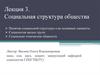 Социальная структура общества. Лекция 3