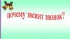 Почему звенит звонок