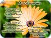 День матери. Милой мамочке