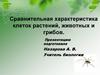 Сравнительная характеристика клеток растений, животных и грибов