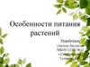 Типы питания растений