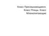 Класс Пресмыкающиеся. Класс Птицы. Класс Млекопитающие