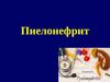 Пиелонефрит. Классификация пиелонефрита по типам течении