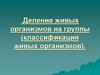 Деление живых организмов на группы (классификация живых организмов)
