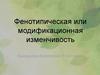 Фенотипическая или модификационная изменчивость