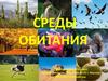 Среды обитания