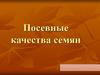 Посевные качества семян