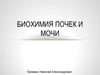 Биохимия почек и мочи