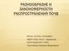 Разнообразие и закономерности распространения почв