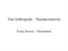 Тип Arthropoda – Членистоногие