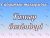 Тамыр бөлімдері