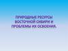 Природные ресурсы Восточной Сибири и проблемы их освоения