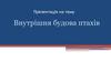 Внутрішня будова птахів