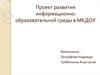Проект развития информационно-образовательной среды в МКДОУ