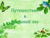Путешествие в весенний лес