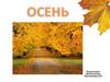 Наступила осень
