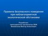Правила безопасного поведения при неблагоприятной экологической обстановке. 8 класс