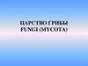 Царство грибы fungi (mycota)