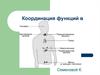 Координация функций в организме