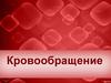Кровообращение