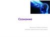 Сознание. Отличительные черты психики и сознания