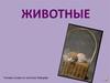 Животные. Чтение по системе Зайцева