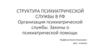 Структура психиатрической службы в РФ. Организация психиатрической службы. Законы о психиатрической помощи