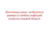 Патогенные кокки - возбудители раневых и гнойных инфекций челюстно-лицевой области
