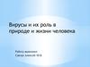 Вирусы и их роль в природе и жизни человека