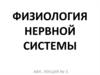 Физиология нервной системы. (Лекция 3)