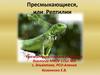 Пресмыкающиеся, или рептилии