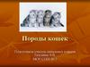 Породы кошек. 1 класс