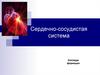 Сердечно-сосудистая система