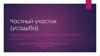 Частный участок (усадьба)