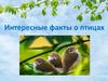 Интересные факты о птицах