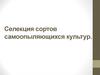 Селекция сортов самоопыляющихся культур