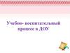 Учебно - воспитательный процесс в ДОУ