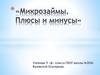 Микрозаймы. Плюсы и минусы. 9 класс