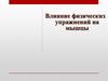 Влияние физических упражнений на мышцы