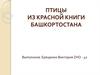 Птицы из красной книги Башкортостана. Региональный компонент на уроках математики в начальной школе
