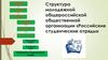 Структура молодежной общероссийской общественной организации «Российские студенческие отряды»