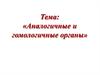 Аналогичные и гомологичные органы