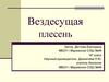 Плесень. Благоприятные условия появления и развития плесени