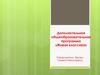 Дополнительная общеобразовательная программа «Живая классика»