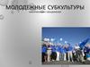 Молодежные субкультуры. Неформальные объединения